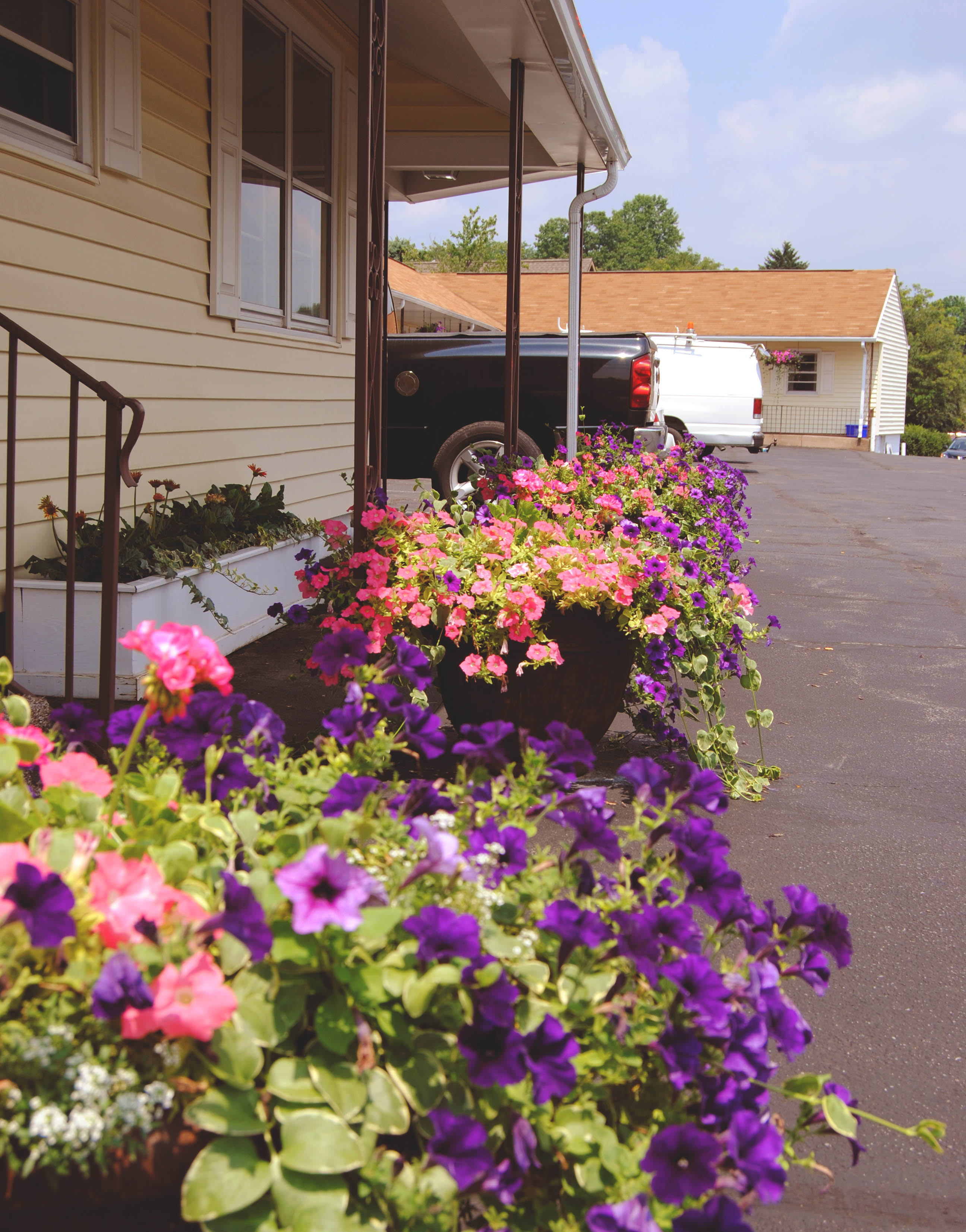 flower beds outside of the stevens motel - rates